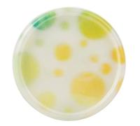 Plastic Book Binding Discs 48 Pcs 35mm Mushroom Hole Binding Rings with Lemon Graphic, Plastic Binder(Yellow)