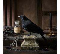 Plastic Crow Statue 21cm Weather Resistant Garden Plastic Crow(Small 18cm)