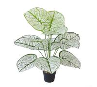 Plastic Faux Greenery 60cm Height for Home Decor(#2) | plastic construction, fade-resistant foliage, for ideal for shelves, mantels, and empty corners
