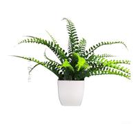 Plastic Faux Plant Pot 18cm Lifelike Spring Grass(Persian Leaf)