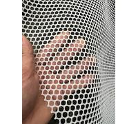 Plastic Fencing Roll for Garden/Yard/Balcony - 1m to 2m High Poultry Netting for Rabbits Squirrels Deer Cats Dogs Duc Chickens ies - 50cm Wide (20in)