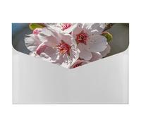 Plastic File Folders with Snap,Almond Blossom Clear Folders File Bags File Organiser File Wallet Expandable File Folder, Document Storage Organizer