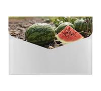 Plastic File Folders with Snap,Watermelon on The Ground Clear Folders File Bags File Organiser File Wallet Expandable File Folder, Document Storage Organizer