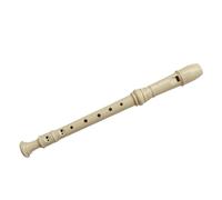 Plastic fingering C Key Maple Recorder Descant with Cleaned Kit Flauta Recorder 8 Hole Recorder Instrument for Beginner Joint