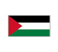 Plastic Flag Badge Brooch Delicate Country Flag Badge Lapel Pin Fashion Flag Brooch Palestine Flag Lapel