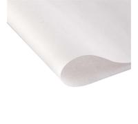 Plastic Flat Sheet 5pcs Frosted White/Black PP Plastic Sheets, Polypropylene Thin Sheet, Sheeting Rigid for Teaching(White,300x400x0.6mm)