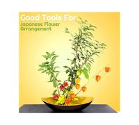 Plastic Flower Frog Pin Holder Flower Arranger Frog Japanese Decorations Flower Fixed Tools Floral Arrangement 4Pcs