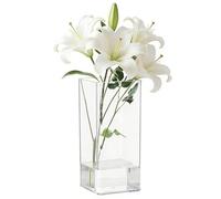 Plastic Flower Vase - 25x10x10 cm Clear Plastic Flowers Vases Square Unbreakable Acrylic Vase Lightweight & Easy Clean Small Ecosystem Bottle for Home Decor/Table/Counter Centerpiece