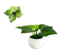 Plastic for mini Fake Plant 8.5cm No Water Needed Office Plastic(Green)