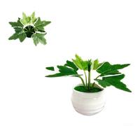 Plastic for mini Fake Plant 8.5cm No Water Needed Office Plastic(White Border)