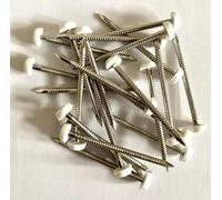Plastic Headed Polytop Pins Fascia A4 Stainless Steel Pins Nails 40mm - 50 Pack