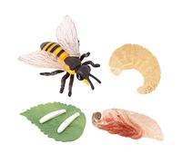 Plastic Kids Insect Bee Growth Life Cycle Figures Education Learning Toys