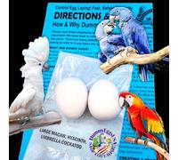 Plastic Large Parrot Eggs for Macaw & Cockatoo. 2 Dummy Solid Non-Toxic Fake Decoy Faux Mock Eggs 1-7/8" x 1-1/2" (4.8 x 3.8cm)