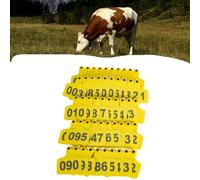 Plastic Livestock Ear Tag ， Large Livestock Ear Tags Number 001-100/101-200/201-300/301-400/401-500 Calf(Yellow 6 * 7.5cm (2.36 * 2.95in),101-200)