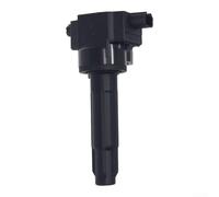 Plastic Metal Ignition Coil 3052055A005 For Honda Engine