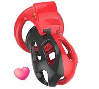 Plastic Multifunctional Washable Round Head Spliced Color Outdoor Fitness Training Birdcage, Equipped With Four Circular Rings And A Key - D27