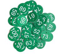Plastic Number Tags 100pcs Numbered Sign Labels Beehive Tags Garden Box Mark with Hole Plant Markers 1-100(Green)