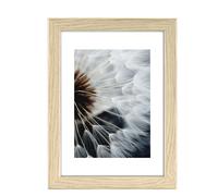 Plastic Photo Frame "Breeze", Oak, 20 x 30 cm