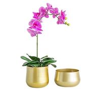 Plastic Plant Pots, Flower Pots Indoor, Indoor Modern Decorative Planter Pot, Gold Plant Pot Metal Flower Pots Brass Garden Planters Round Succulent Containers with Drainage Hole 2Pcs