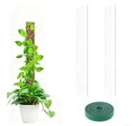 Plastic Plant Support Pole 24in with Straps Plastic Plant Support(A)