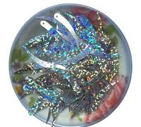 Plastic Sequins 1000pcs Chilli Ivory Shape Sequins 5 * 32mm PVC Flat Paillette Decoration 1 Hole 18 Colors Available for DIY Clothing(Laser Silver)