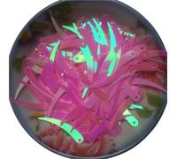 Plastic Sequins 1000pcs Chilli Ivory Shape Sequins 5 * 32mm PVC Flat Paillette Decoration 1 Hole 18 Colors Available for Crafts(Pink AB)