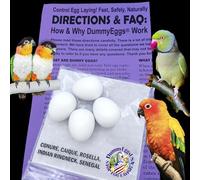 Plastic Small Parrot Dummy Eggs Stop Brooding Laying! 4 Solid Dummy Fake Non-Toxic White Realistic Eggs for Conure (not Green Cheek), Caique, Indian Ringneck DE Brand USA