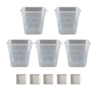 Plastic Square Orchid Pot Designed For Enhanced Root Aeration And Visual Root Observation During Cultivation And Care Processes(15CM with tray)