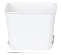 Plastic Succulent Pot with Detachable Tray, Breathable Self Watering for Herbs Leafy Greens Flowering Plants, Minimalist White Gardening Container(A)
