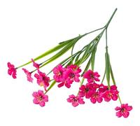 Plastic Violet Artificial Floral Stems 36cm For Outdoor Decoration Suitable For Courtyard Fountain Edges Balcony Rail Planters And Study Nook Shelves(Rose Red)