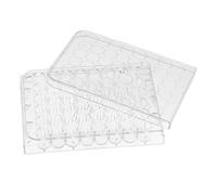 Plastic Well Lid and Raised Rim with Cell Culture Plate