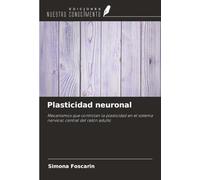 Plasticidad neuronal: Mecanismos que controlan la plasticidad en el sistema nervioso central del ratón adulto
