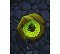 Plastimo Iris 50 Bearing and OrientationCompass