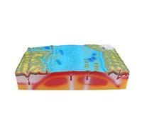 Plate Tectonics Geomorphological Models for Geography Education, Demonstration Tool for Junior and Senior High School Students