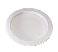 Plate with Curved Inner Lip, 9 Inch Diameter