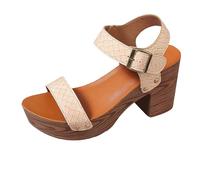 Platform Heels for Women Studded Platform High Heel Stylish Roman Block Heel Sandals with Buckle Ankle Strap