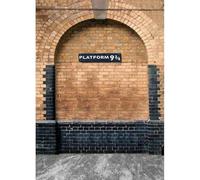 Platform Nine and Three Quarters Photography Background Custom Backdrop for Baby Children Birthday Party Photoshoot Photo Studio 250x180CM