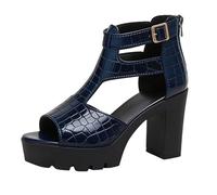 Platform Sandals Heels For Women Sandals With A Zip Up The Back Breathable Fashion Sliders Lightweight Arch-Supporting Sliders Leather Adjustable Strap Slides Non-Binding Gorgeous Shoes