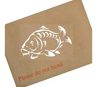 Platinum Place 1 x Carp-Vinyl Sticker-White onto Clear-Car Window Graphic Sign Animal,Fish,Swim,Fishing,Freshwater