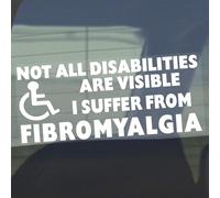 Platinum Place 1 x D77 FIBROMYALGIA Sticker Not All Disabilities Are Visible Sign 200x87mm White on Clear Disabled Awareness Window Car Badge Blue Holder Label Notice