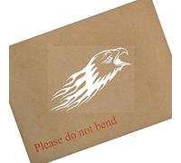 Platinum Place 1 x Eagle Flame-Vinyl Sticker-White onto Clear-Car Window Graphic Decal Sign Animal,Bird,Prey,Golden
