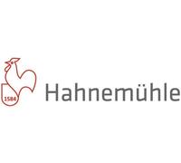 HAHNEMUEHLE PLATINUM RAG-20INX24IN 25S-300