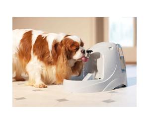 Platinum water cooler PetSafe Drinkwell