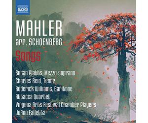 Platts/Williams/Falletta - Mahler:Songs