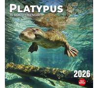 Platypus 2026 Calendar: Australia’s strangest creature shown in charming habitats