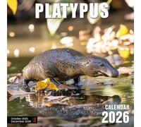 Platypus 2026 Calendar: Australia’s strangest creature shown in charming habitats