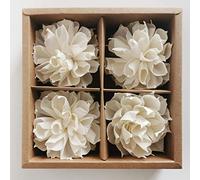 Plawanature Box Set of 4 Dahlia Sola Flower 8 cm with Rope Diffuser for Home Fragrance Oil.