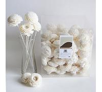 Plawanature Set of 100 Jasmine and Zinnia 2" Sola Flower Top for DIY Reed diffuser/Floral Arrangement Decoration