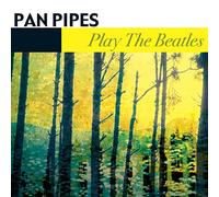 Play The Beatles