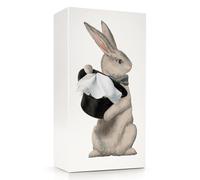 PLAYABLE ART Wonder Rabbit Tissue Box (2024 New) - Whimsical Endless Magic Illusion with Every Dispense - Cute Companion to Flying Skirt Tissue Box - Metal Weighted Inner Case - Designed by Spextrum®